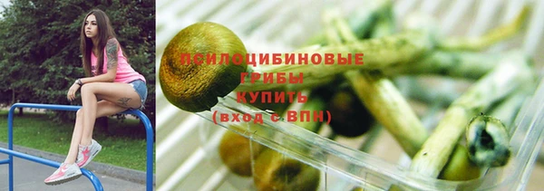 прущие грибы Алексеевка