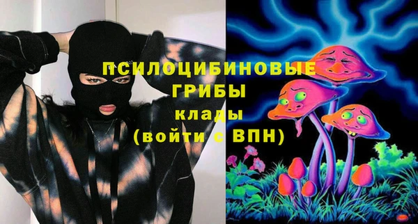 прущие грибы Алексеевка