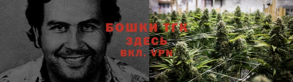 стафф Куйбышев